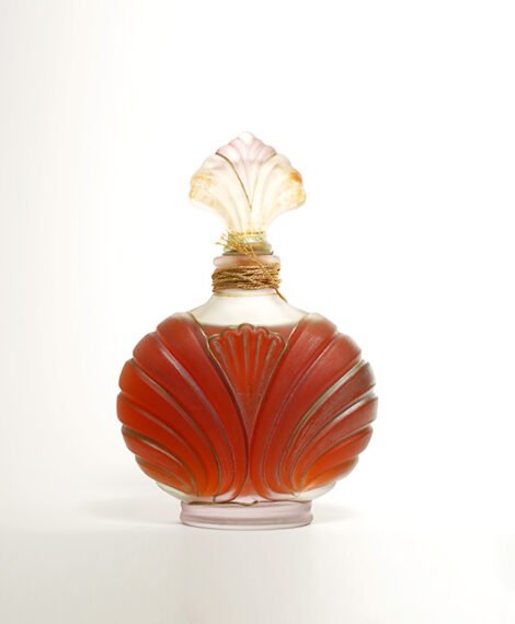 Secret of Red Amber – سر العنبر الأحمر